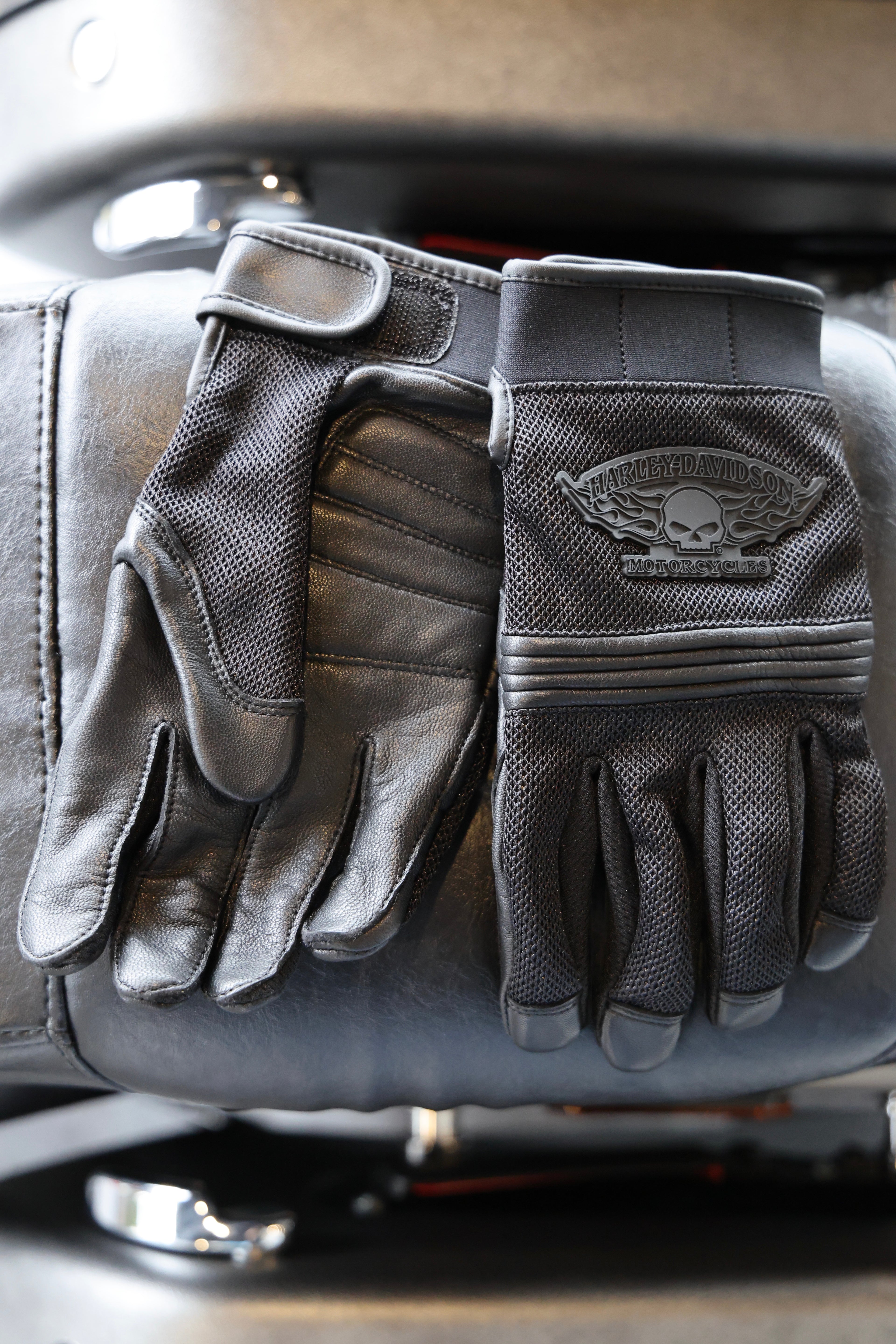 HARLEY-DAVIDSON® Men’s Winged Willie G Skull Gloves