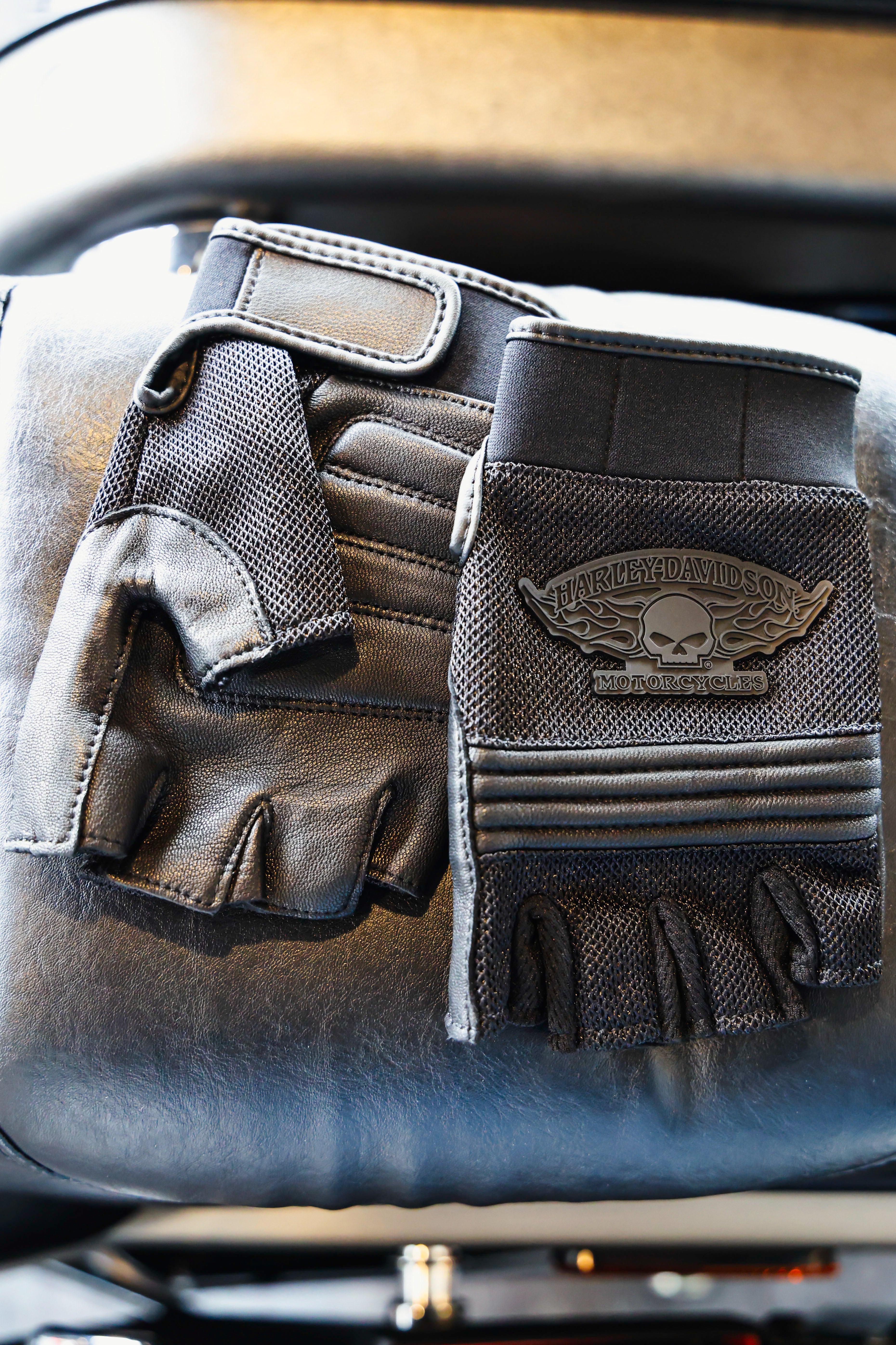HARLEY-DAVIDSON® MEN'S WINGED SKULL FINGERLESS GLOVES