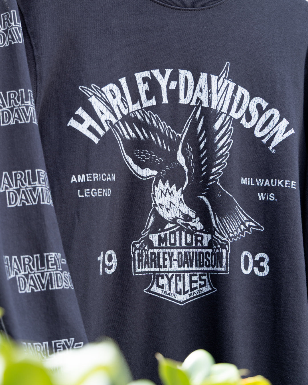 Harley-Davidson® American Classic Eagle Long Sleeve Graphic Tee【96498-26VM】