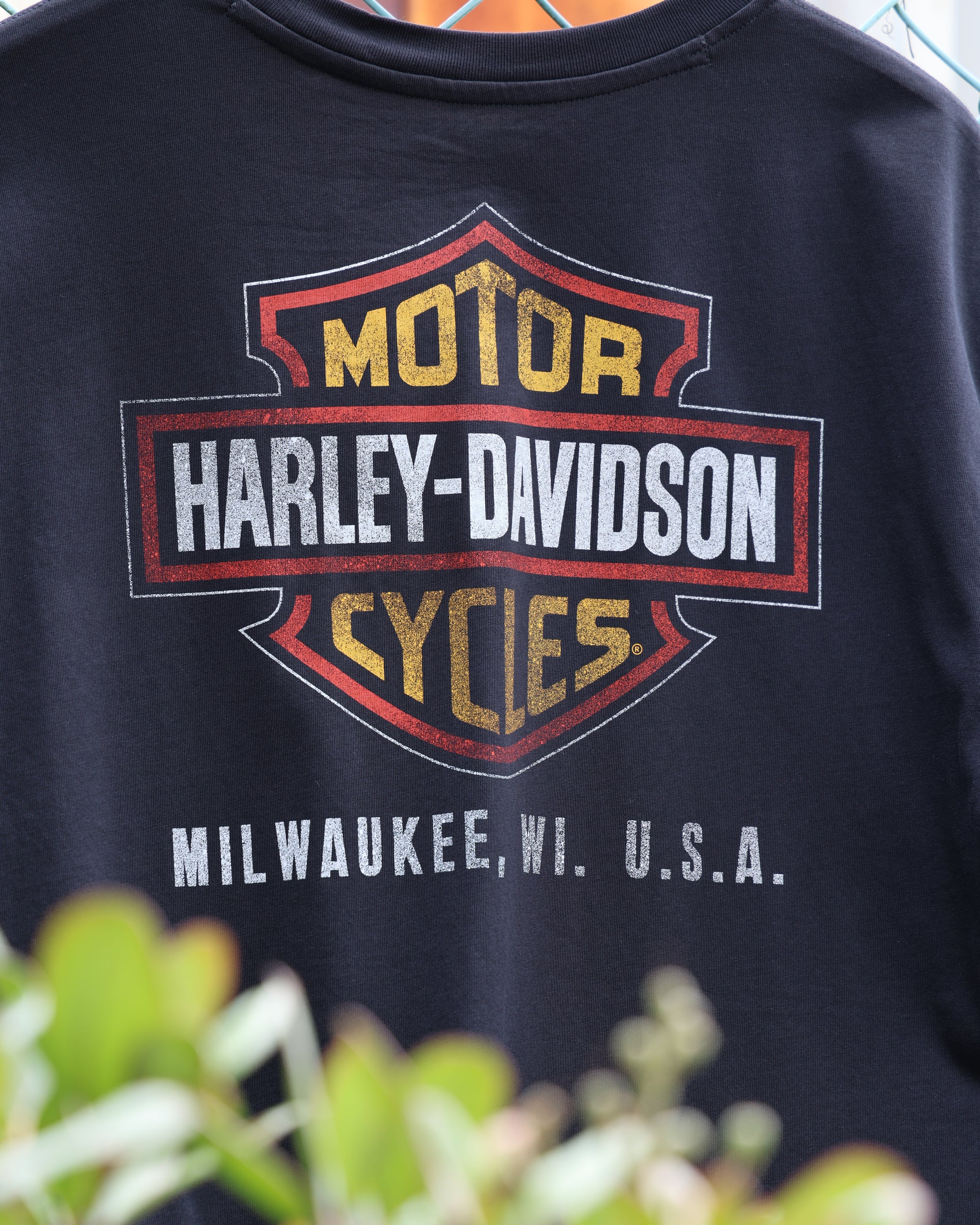 Harley-Davidson® Men's Stars &amp; Stripes Eagle Tee