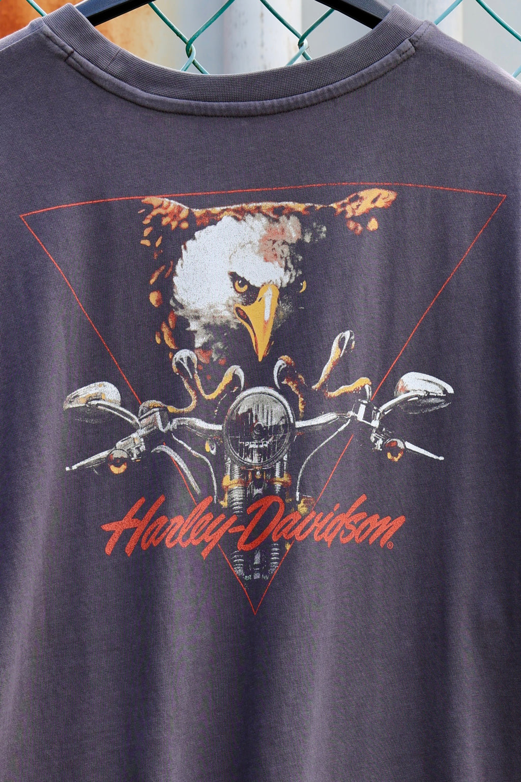 Harley-Davidson® Men’s V-Twin Eagle Graphic Tee