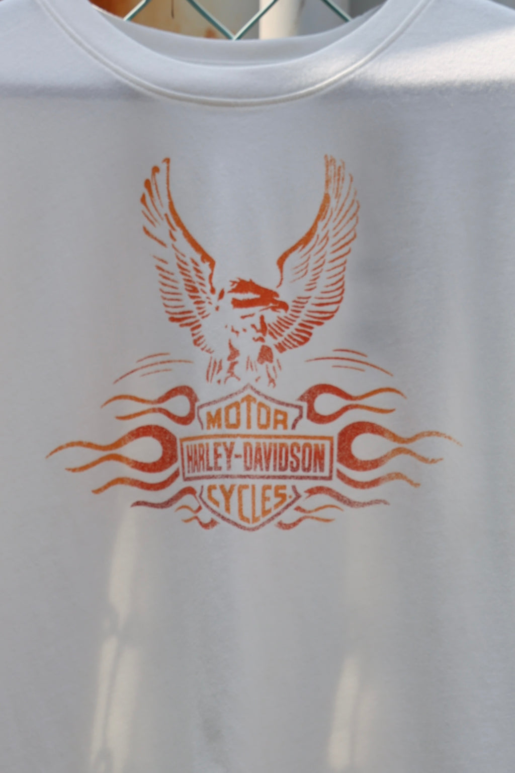 Women's Flaming Eagle Boxy Tee