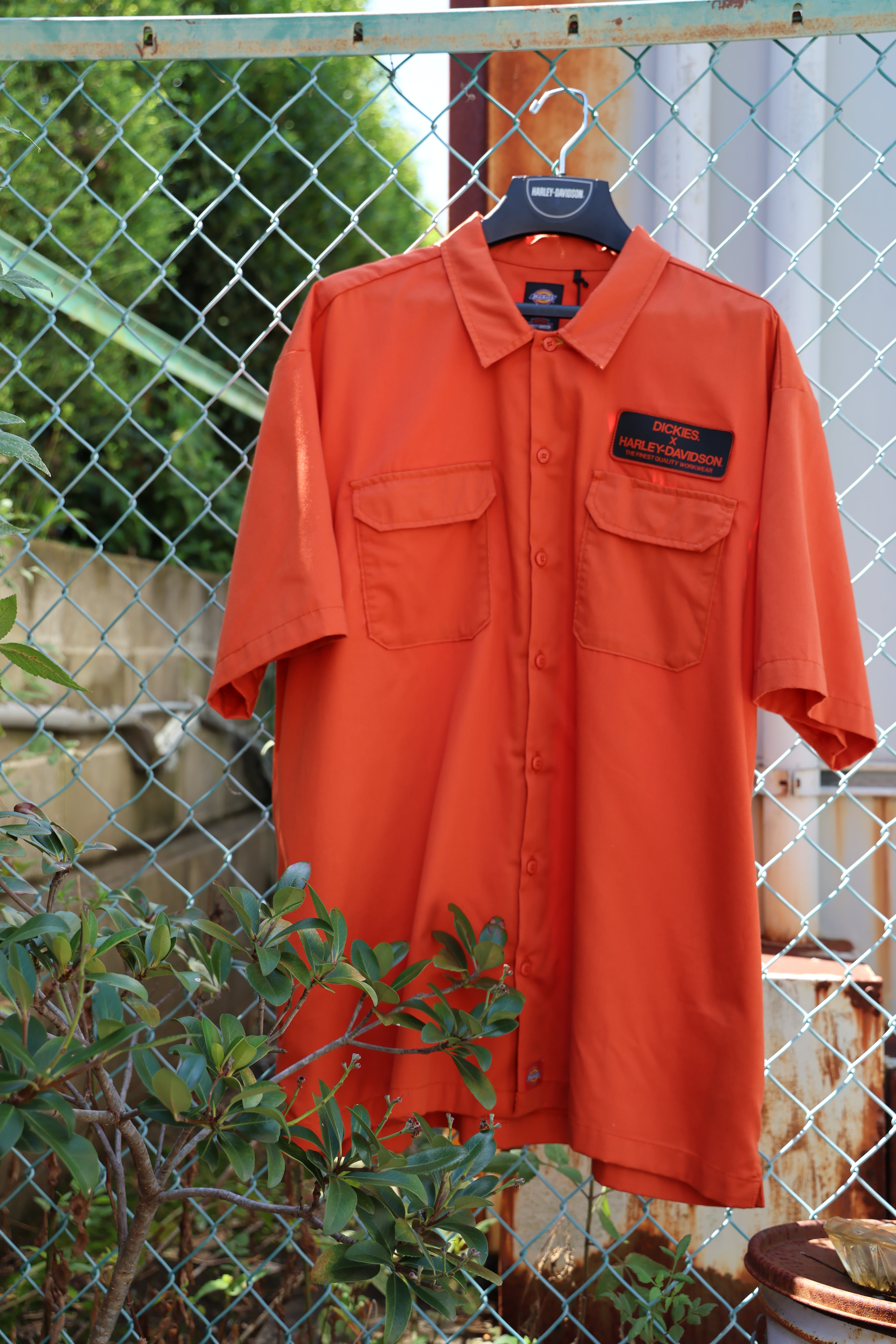 Men's Dickies x HD Eagle Short Sleeve Work Shirt Vintage Orange