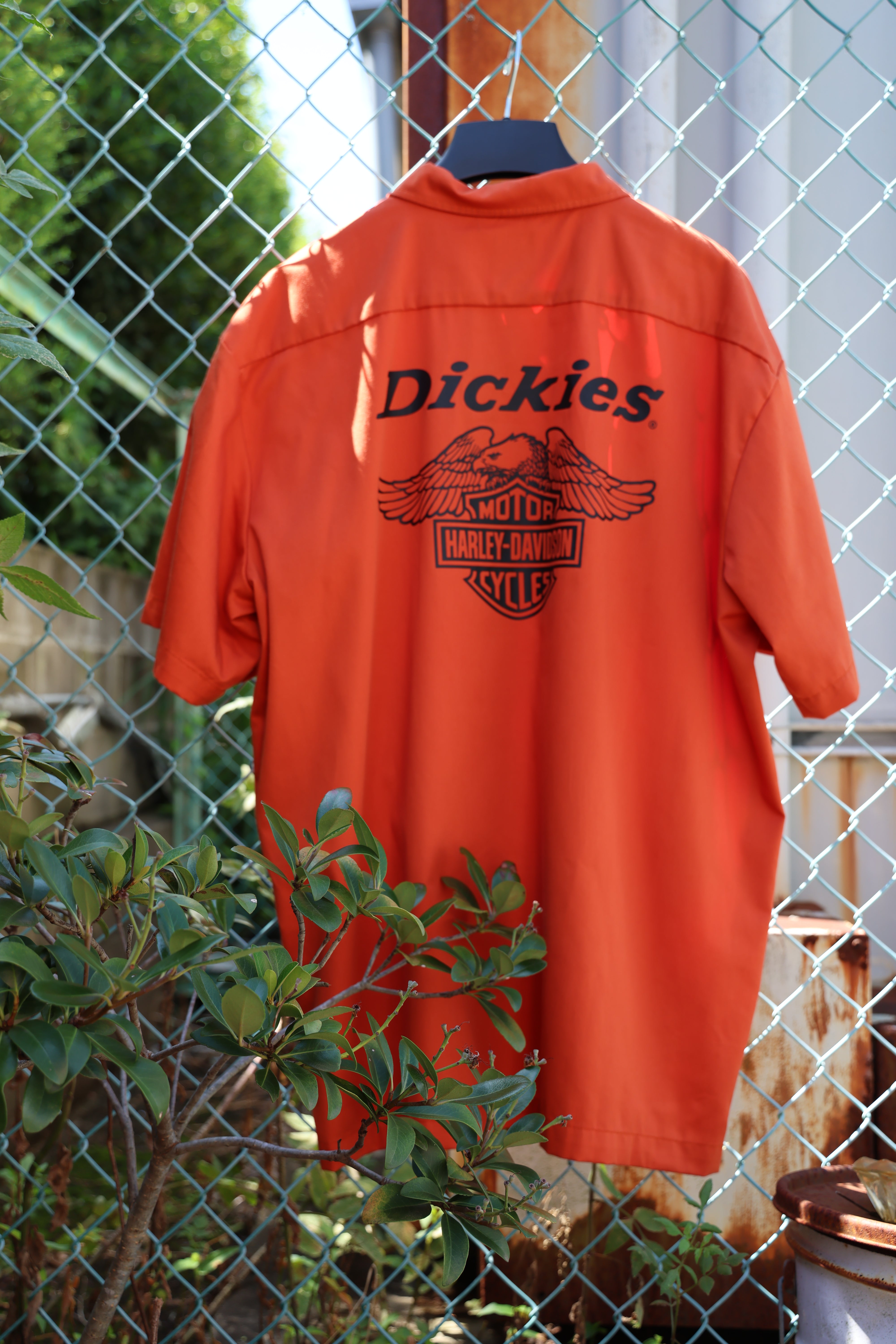 Men's Dickies x HD Eagle Short Sleeve Work Shirt Vintage Orange