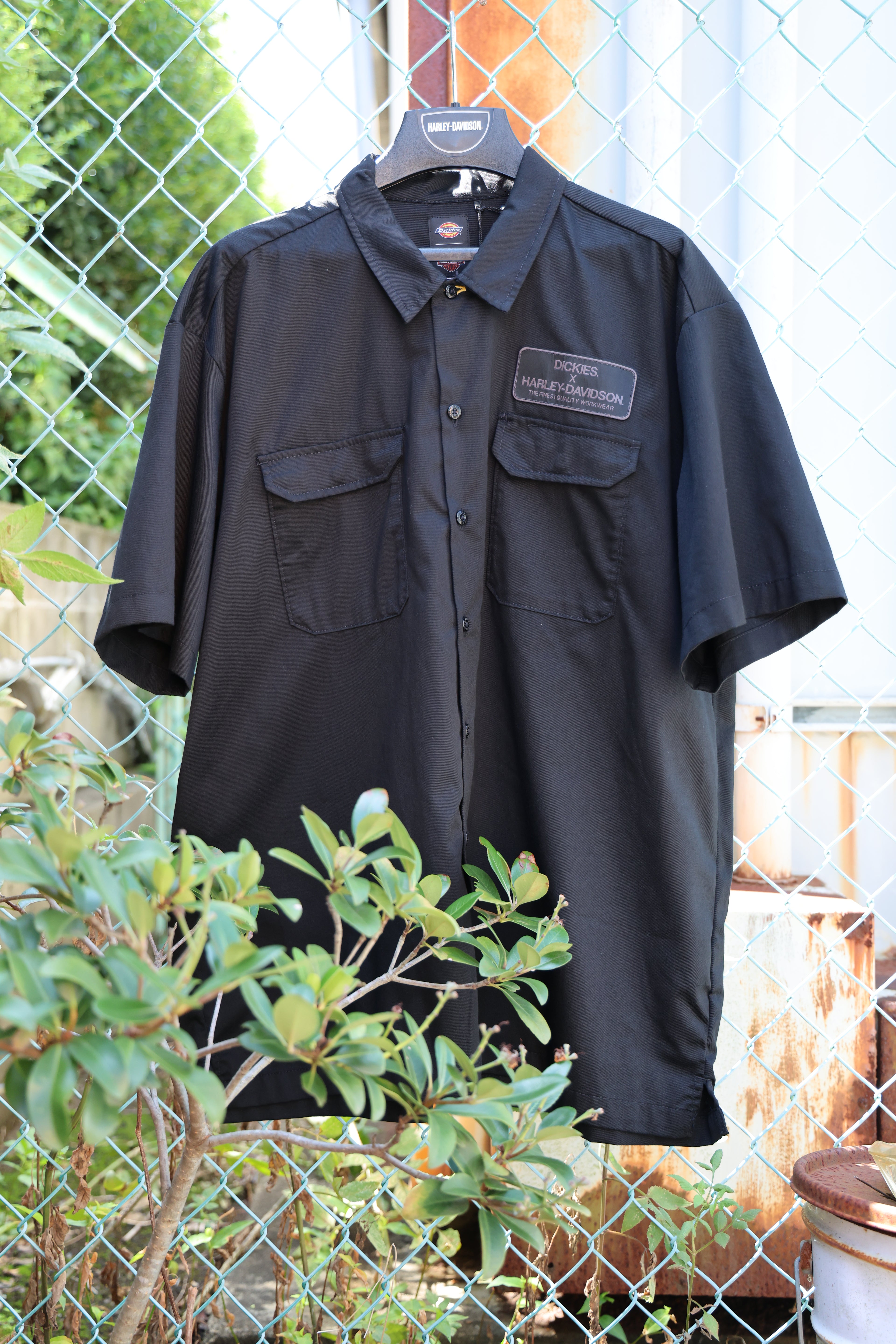 Men's Dickies x HD Eagle Short Sleeve Work Shirt Anthracite