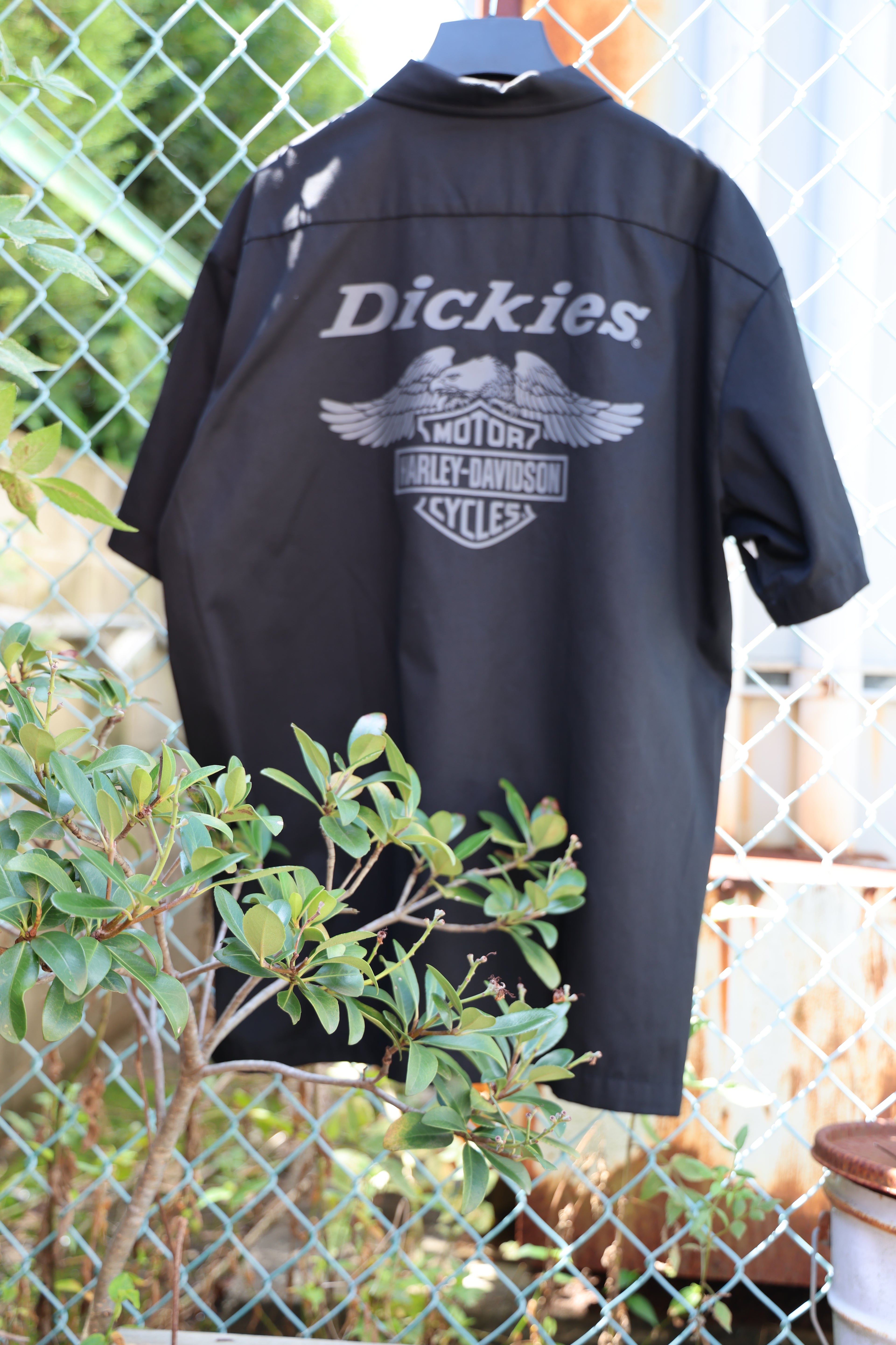 Men's Dickies x HD Eagle Short Sleeve Work Shirt Anthracite