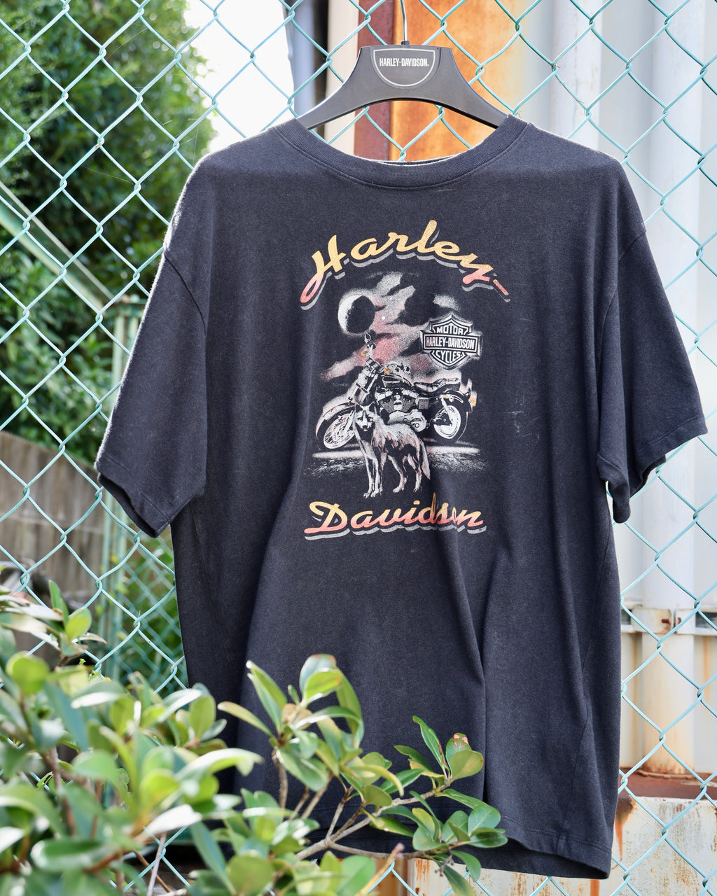 WOMEN'S LONE WOLF LOWRIDER OVERSIZED TEE