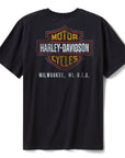 Harley-Davidson® Men's Stars & Stripes Eagle Tee