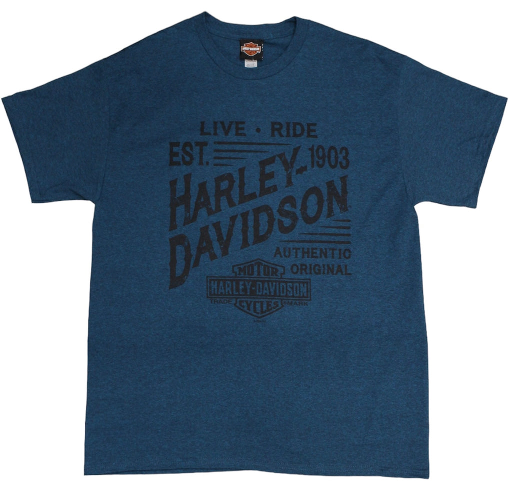 Souvenir S/S T-Shirt【Blue green】LIVE・RIDE